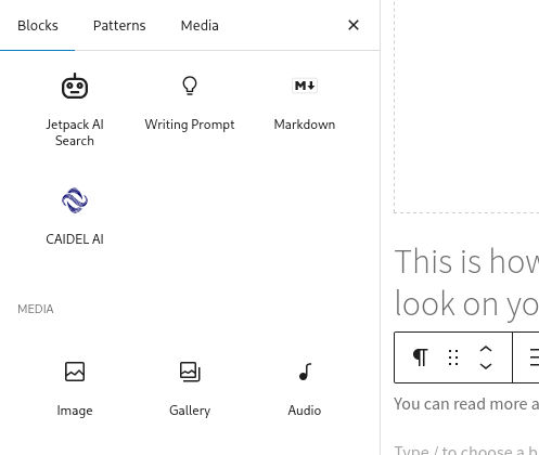 A subsection of the WordPress Page Editor, showing the CAIDEL plugin in the block browse panel.